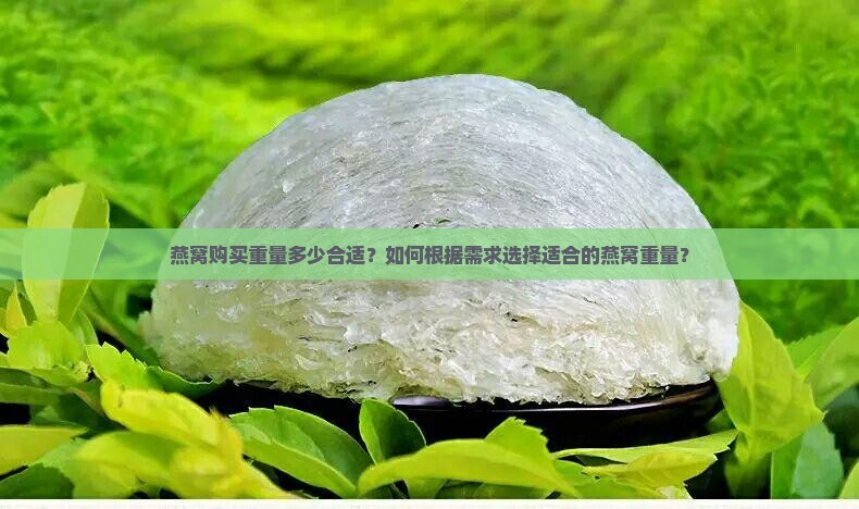 燕窝购买重量多少合适？如何根据需求选择适合的燕窝重量？
