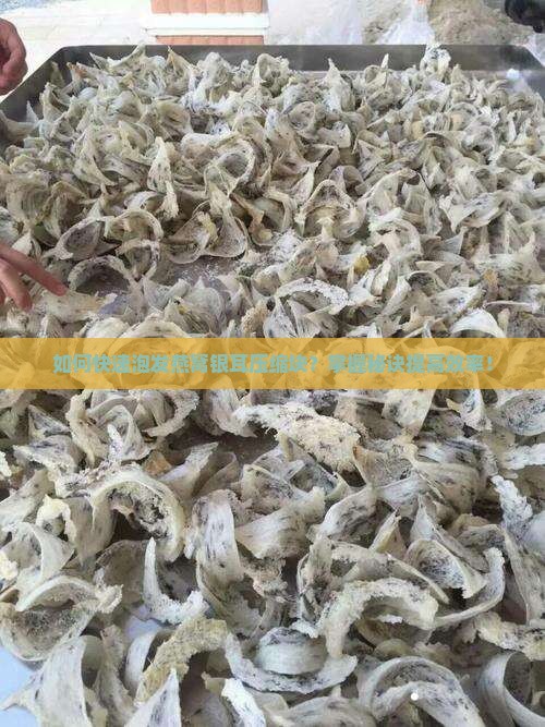 如何快速泡发燕窝银耳压缩块？掌握秘诀提高效率！