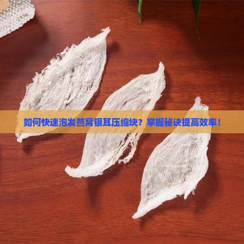 如何快速泡发燕窝银耳压缩块？掌握秘诀提高效率！