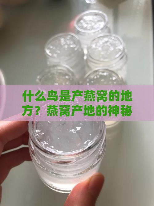 什么鸟是产燕窝的地方？燕窝产地的神秘面纱