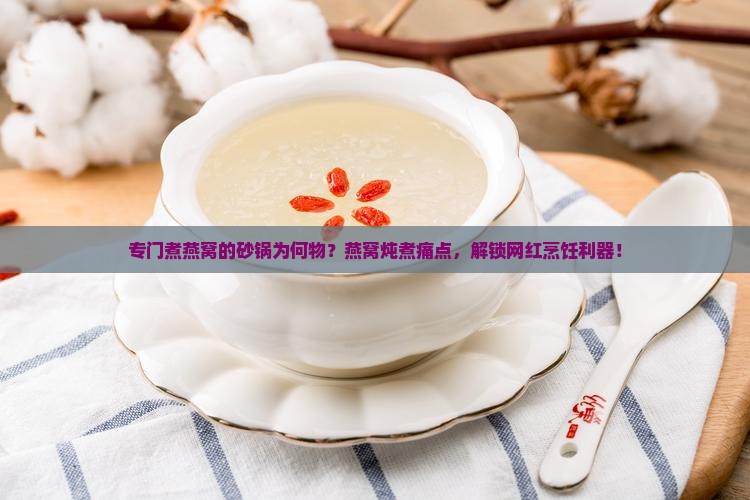 专门煮燕窝的砂锅为何物？燕窝炖煮痛点，解锁网红烹饪利器！
