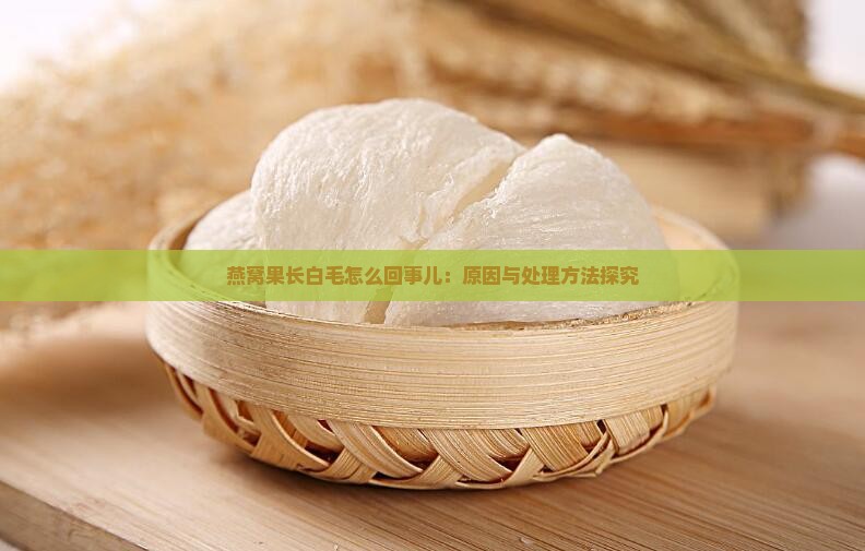 燕窝果长白毛怎么回事儿：原因与处理方法探究