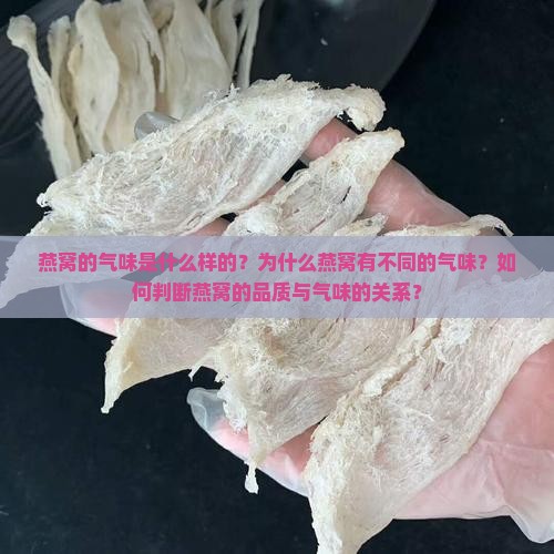 燕窝的气味是什么样的？为什么燕窝有不同的气味？如何判断燕窝的品质与气味的关系？