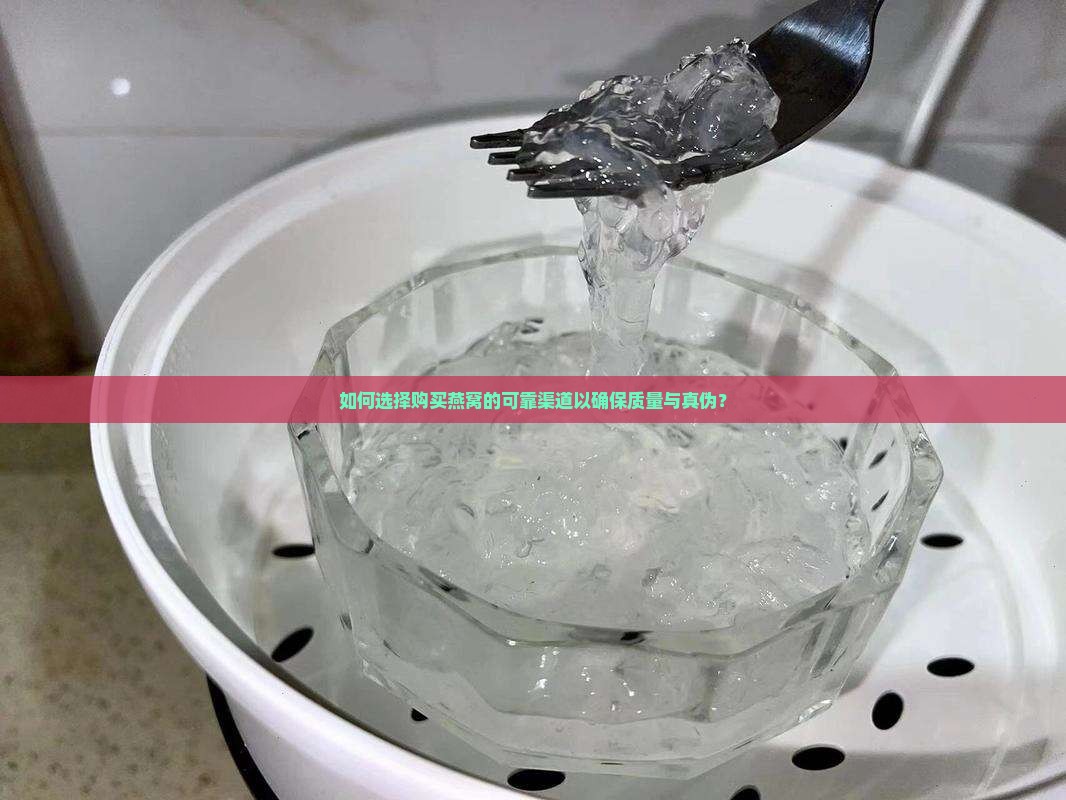 如何选择购买燕窝的可靠渠道以确保质量与真伪？