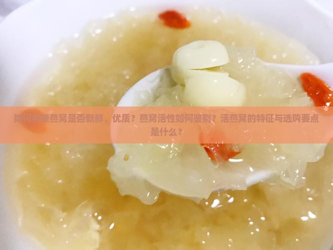 如何判断燕窝是否新鲜、优质？燕窝活性如何鉴别？活燕窝的特征与选购要点是什么？