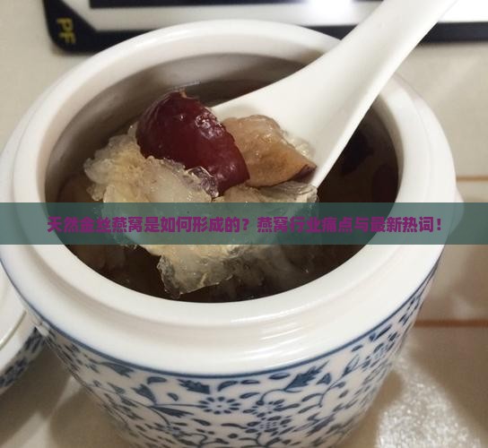 天然金丝燕窝是如何形成的？燕窝行业痛点与最新热词！