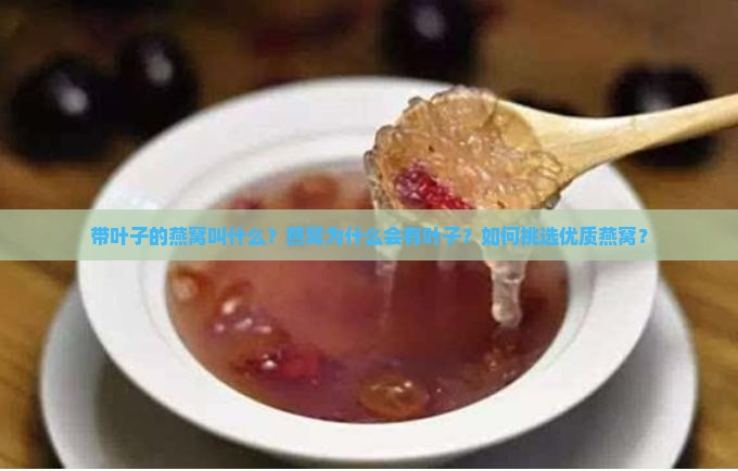 带叶子的燕窝叫什么？燕窝为什么会有叶子？如何挑选优质燕窝？