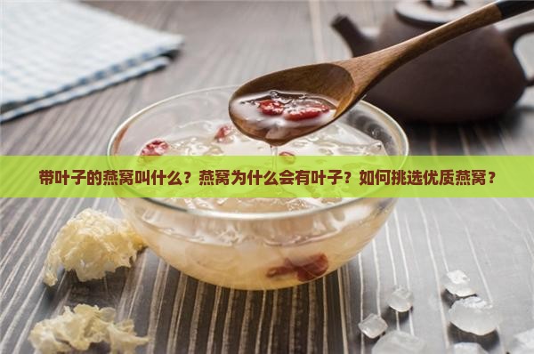 带叶子的燕窝叫什么？燕窝为什么会有叶子？如何挑选优质燕窝？