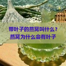 带叶子的燕窝叫什么？燕窝为什么会有叶子？如何挑选优质燕窝？