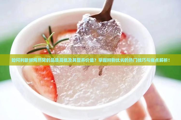 如何判断鲜炖燕窝的品质高低及其营养价值？掌握辨别优劣的热门技巧与痛点解析！