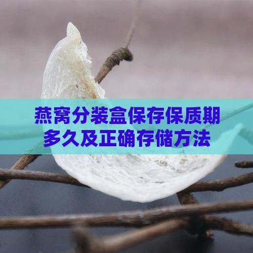 燕窝分装盒保存保质期多久及正确存储方法