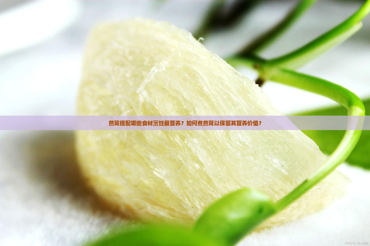 燕窝搭配哪些食材烹饪最营养？如何煮燕窝以保留其营养价值？