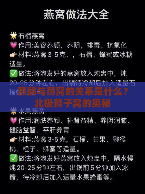 燕鸥与燕窝的关系是什么？北极燕子窝的奥秘