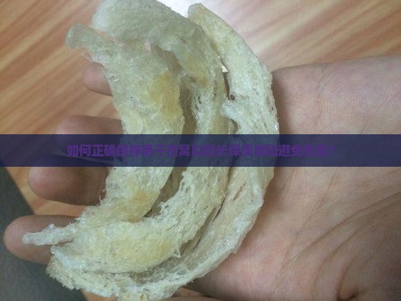 如何正确保存晒干燕窝以延长保质期和避免变质？