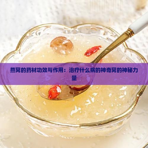 燕窝的药材功效与作用：治疗什么病的神奇窝的神秘力量