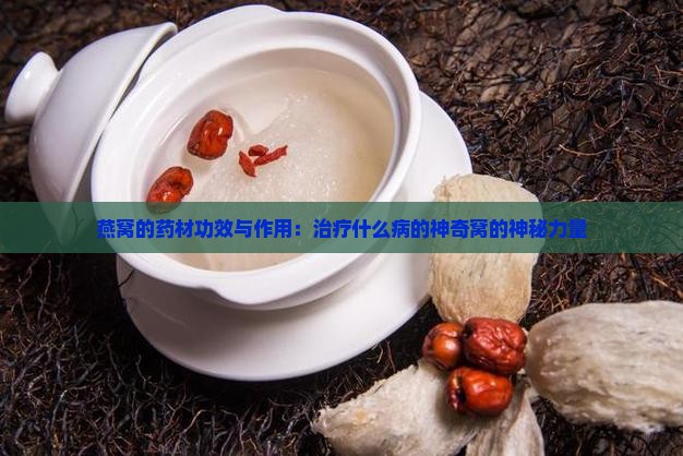 燕窝的药材功效与作用：治疗什么病的神奇窝的神秘力量
