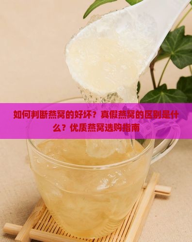 如何判断燕窝的好坏？真假燕窝的区别是什么？优质燕窝选购指南
