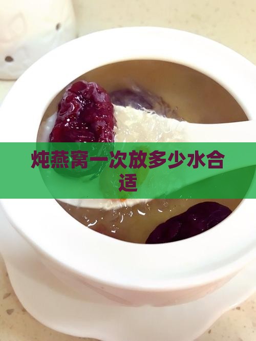 炖燕窝一次放多少水合适