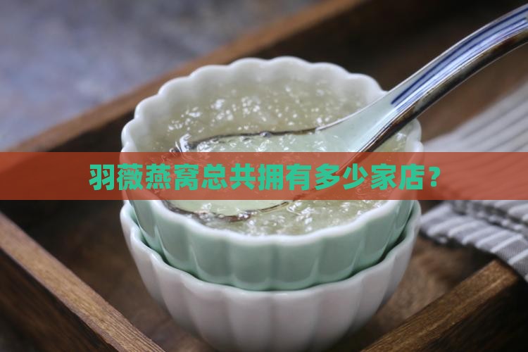 羽薇燕窝总共拥有多少家店？