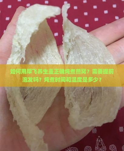 如何用摩飞养生壶正确炖煮燕窝？需要提前泡发吗？炖煮时间和温度是多少？