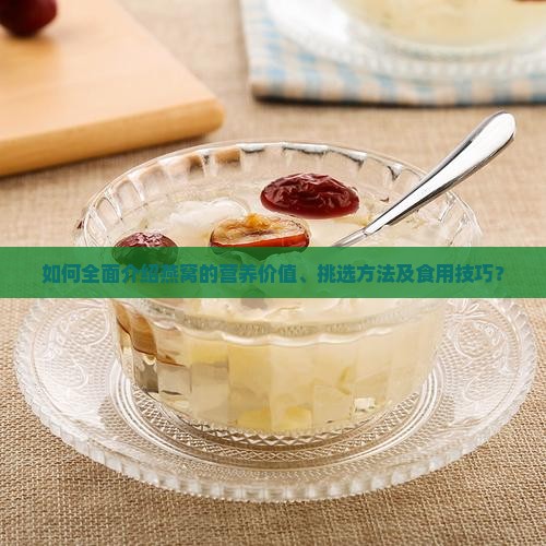 如何全面介绍燕窝的营养价值、挑选方法及食用技巧？