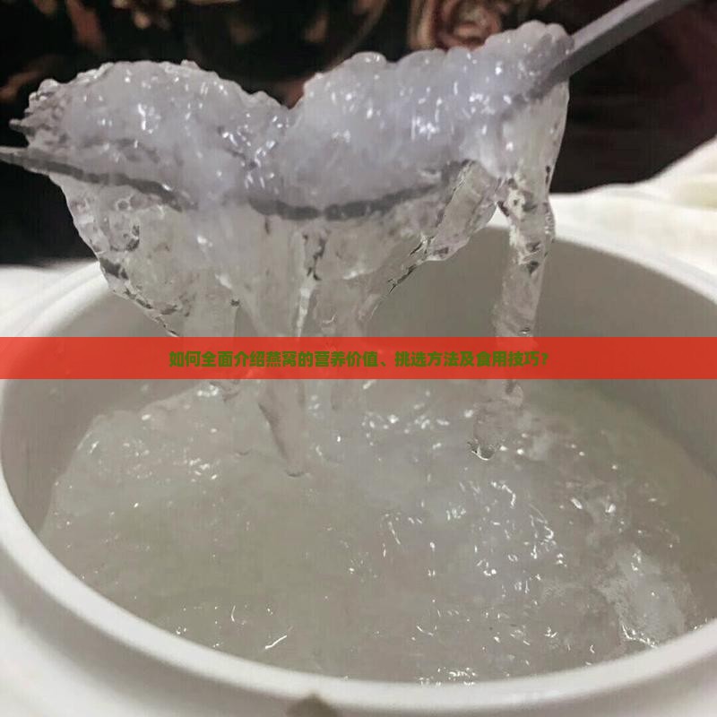 如何全面介绍燕窝的营养价值、挑选方法及食用技巧？