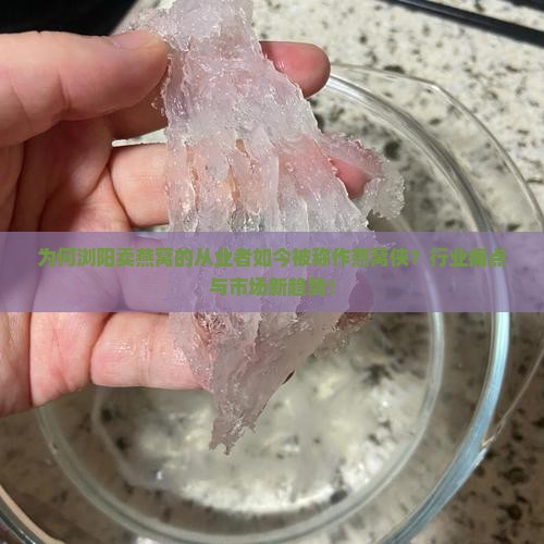为何浏阳卖燕窝的从业者如今被称作燕窝侠？行业痛点与市场新趋势！