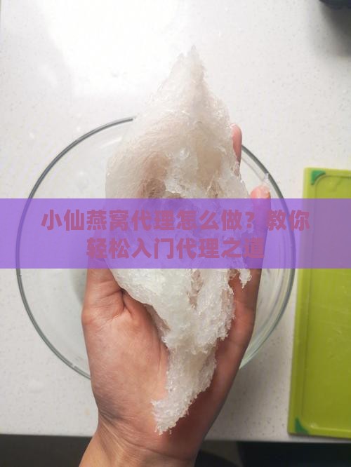 小仙燕窝代理怎么做？教你轻松入门代理之道