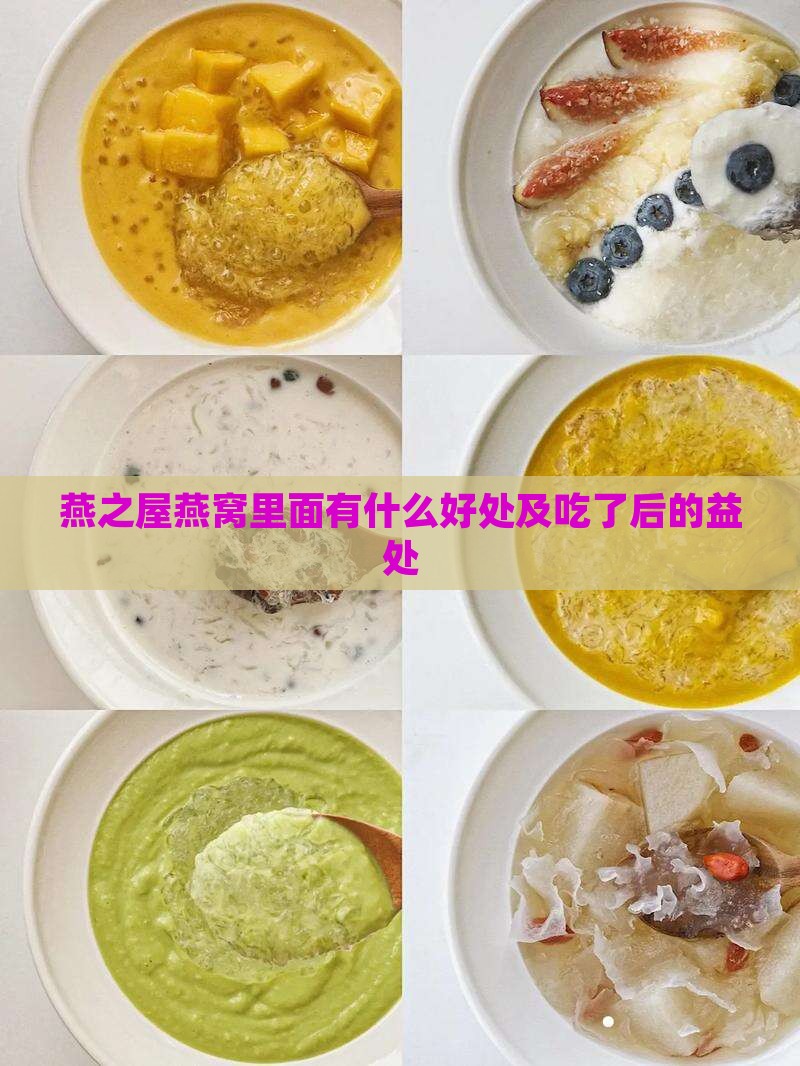 燕之屋燕窝里面有什么好处及吃了后的益处