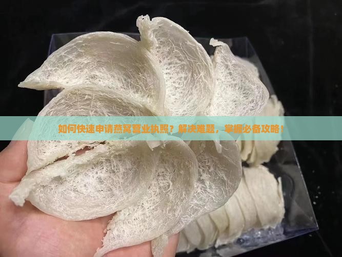 如何快速申请燕窝营业执照？解决难题，掌握必备攻略！
