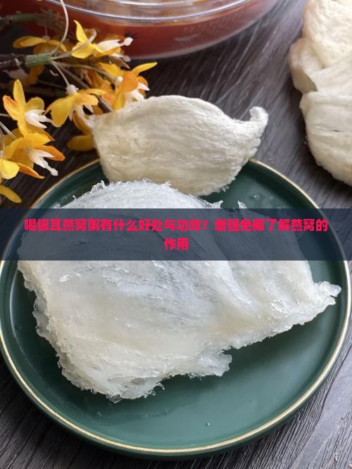 喝银耳燕窝粥有什么好处与功效？增强免椰了解燕窝的作用