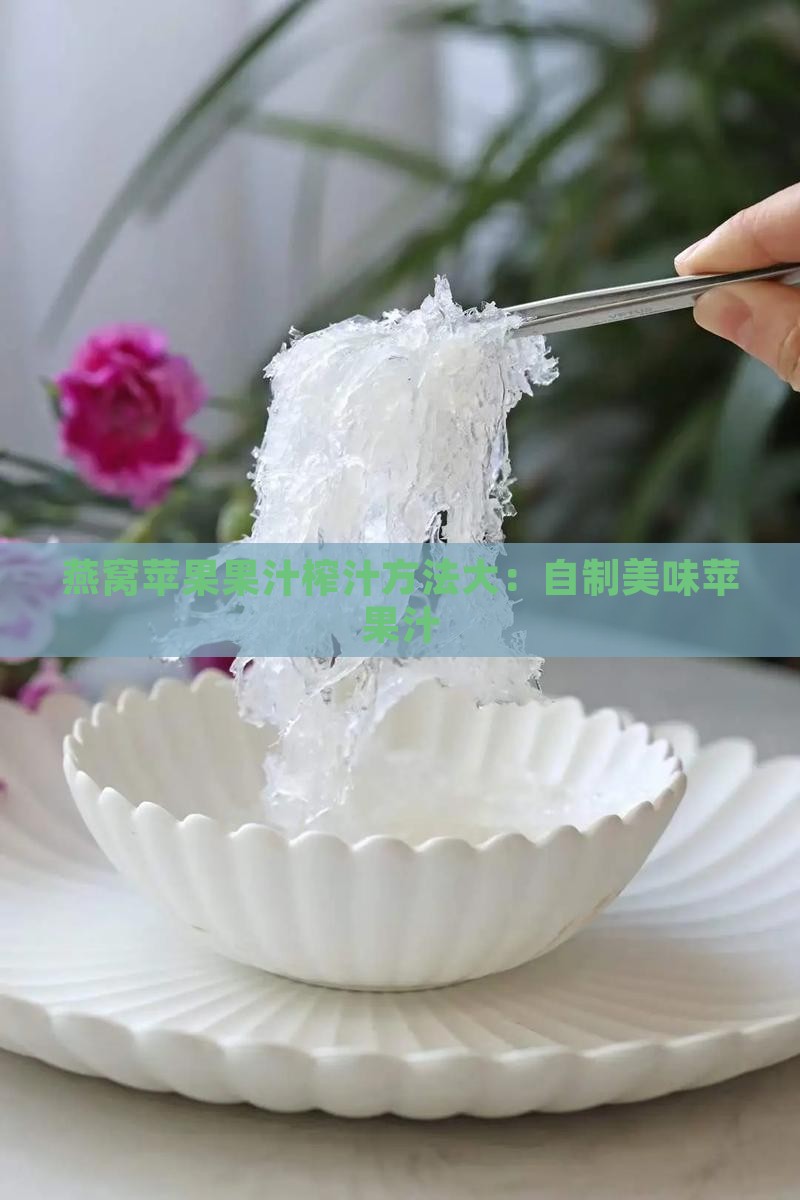 燕窝苹果果汁榨汁方法大：自制美味苹果汁