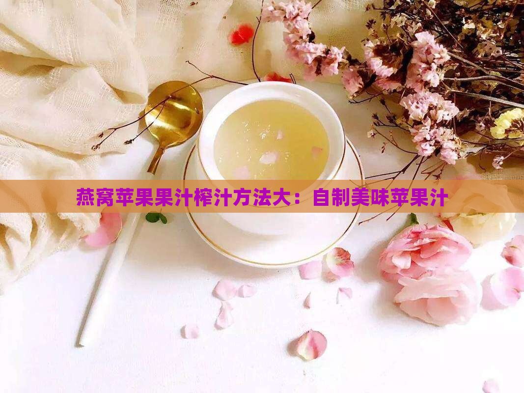 燕窝苹果果汁榨汁方法大：自制美味苹果汁