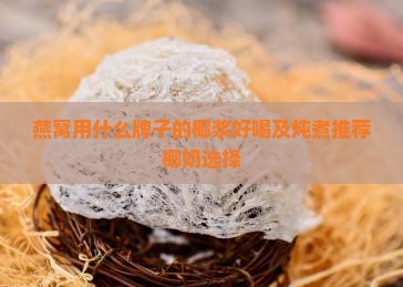 燕窝用什么牌子的椰浆好喝及炖煮推荐椰奶选择