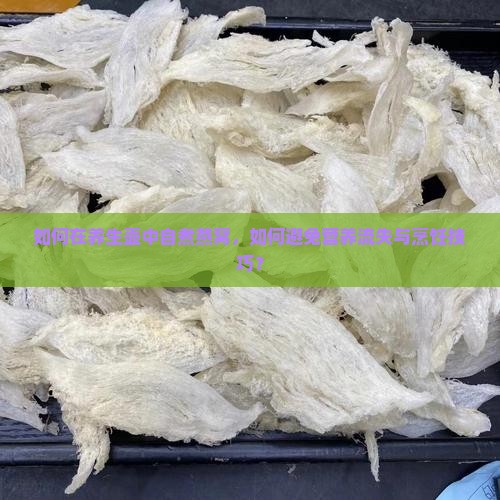 如何在养生壶中自煮燕窝，如何避免营养流失与烹饪技巧？