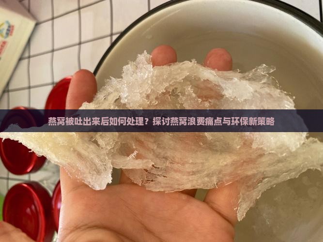 燕窝被吐出来后如何处理？探讨燕窝浪费痛点与环保新策略