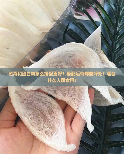 燕窝和蛋白粉怎么搭配更好？搭配后有哪些好处？适合什么人群食用？