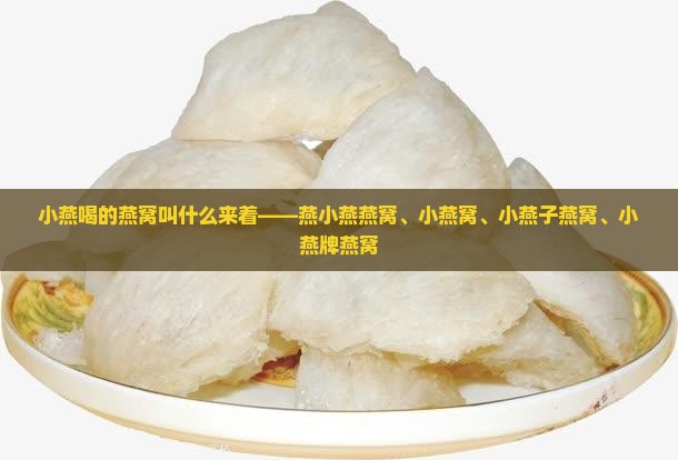 小燕喝的燕窝叫什么来着——燕小燕燕窝、小燕窝、小燕子燕窝、小燕牌燕窝