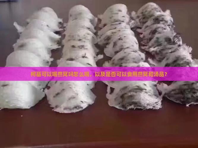 柯基可以喝燕窝吗怎么喝，以及是否可以食用燕窝和汤品？