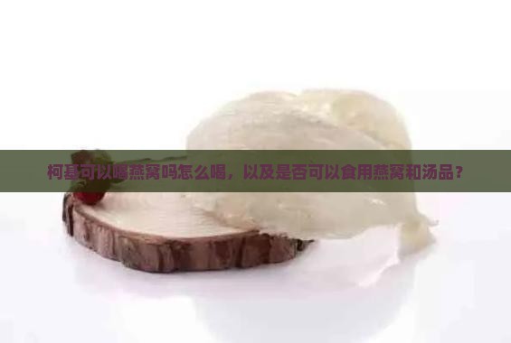 柯基可以喝燕窝吗怎么喝，以及是否可以食用燕窝和汤品？