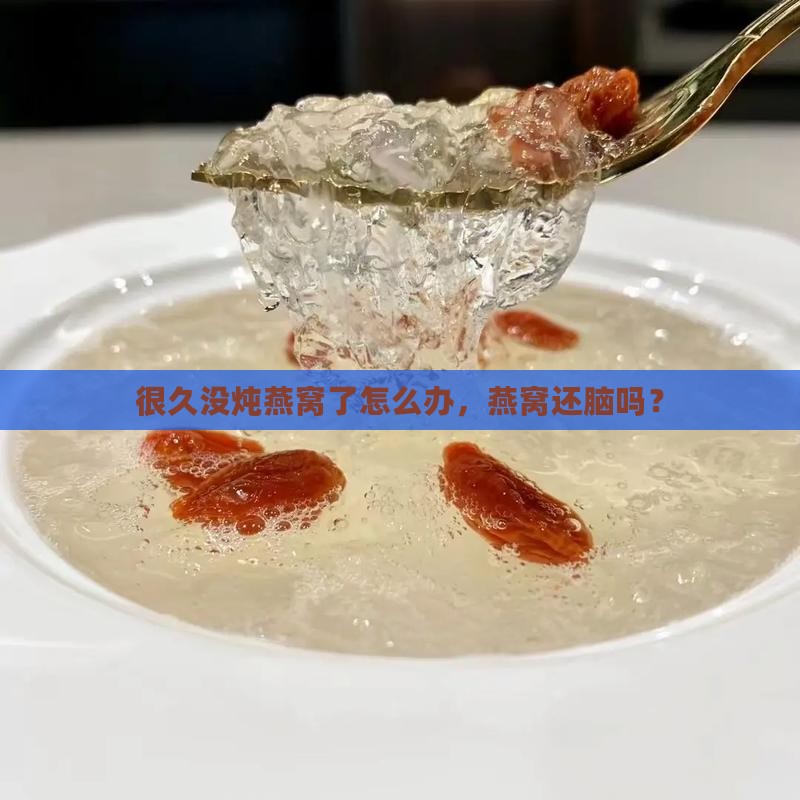 很久没炖燕窝了怎么办，燕窝还脑吗？