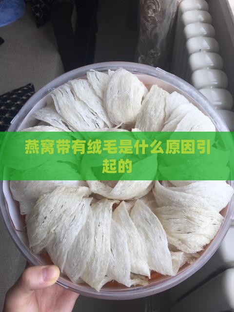 燕窝带有绒毛是什么原因引起的