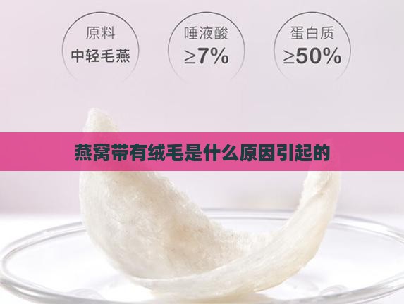 燕窝带有绒毛是什么原因引起的