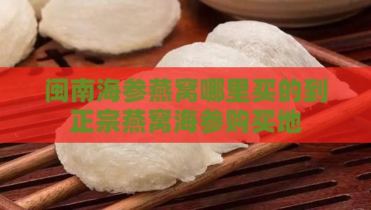 闽南海参燕窝哪里买的到正宗燕窝海参购买地
