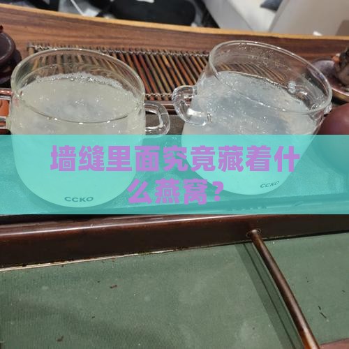 墙缝里面究竟藏着什么燕窝？