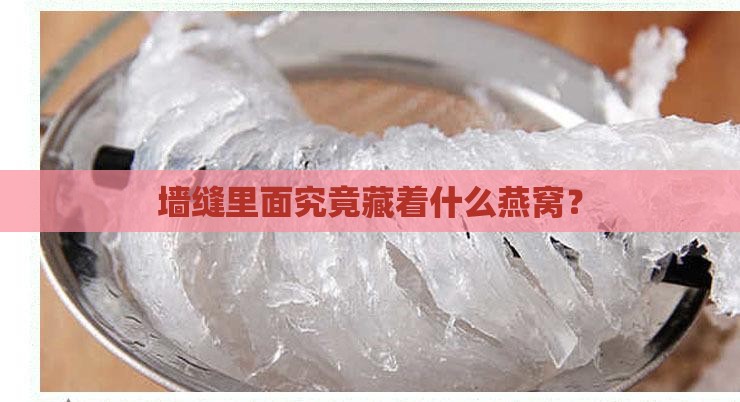 墙缝里面究竟藏着什么燕窝？