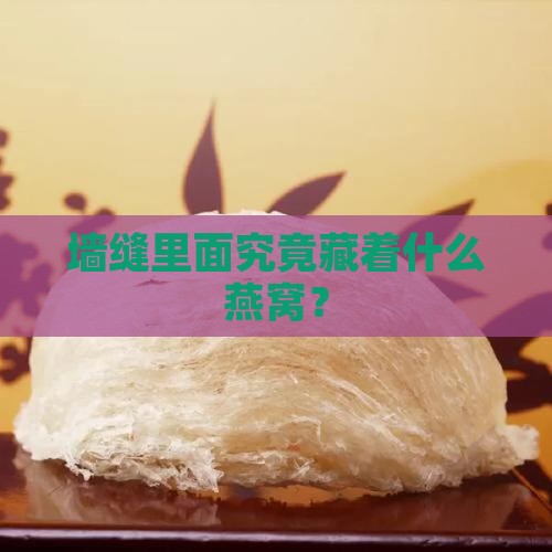 墙缝里面究竟藏着什么燕窝？