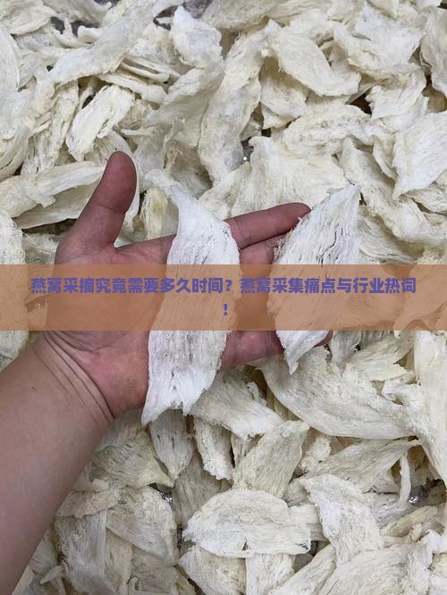燕窝采摘究竟需要多久时间？燕窝采集痛点与行业热词！