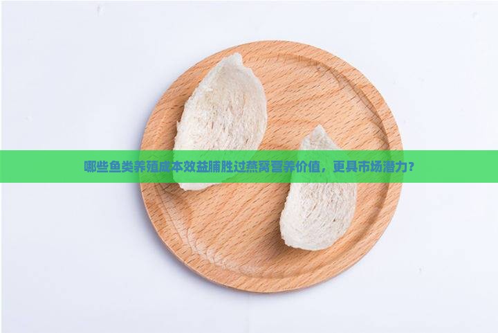哪些鱼类养殖成本效益脯胜过燕窝营养价值，更具市场潜力？