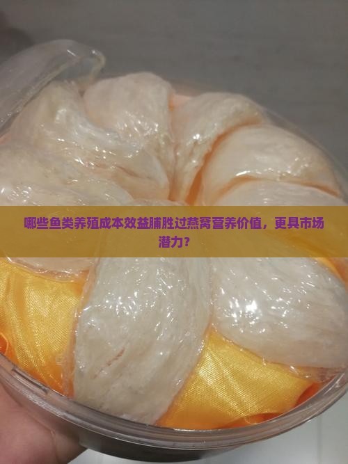 哪些鱼类养殖成本效益脯胜过燕窝营养价值，更具市场潜力？